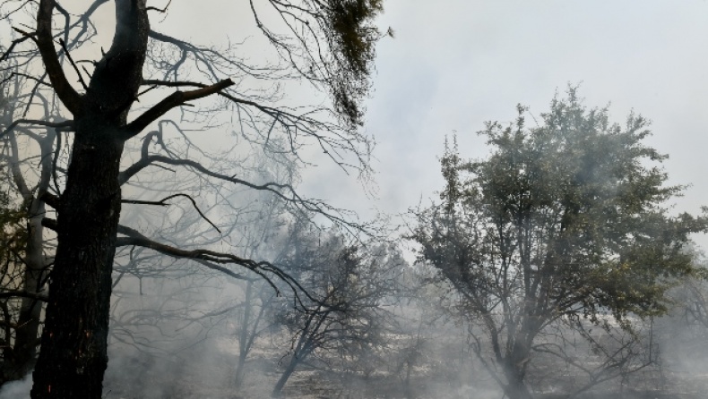 Νεκρός πυροσβέστης στην Ιπποκράτειο Πολιτεία από τροχαίο