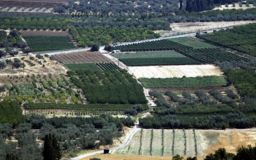 Αποχαρακτηρίζονται πολλές εκτάσεις στα νησιά που είχαν κριθεί δασικές