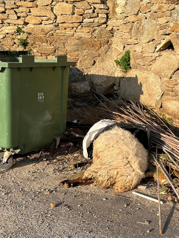 «Ένας γιγαντιαίας κάδος σκουπιδιών το νησί από άκρη σε άκρη»