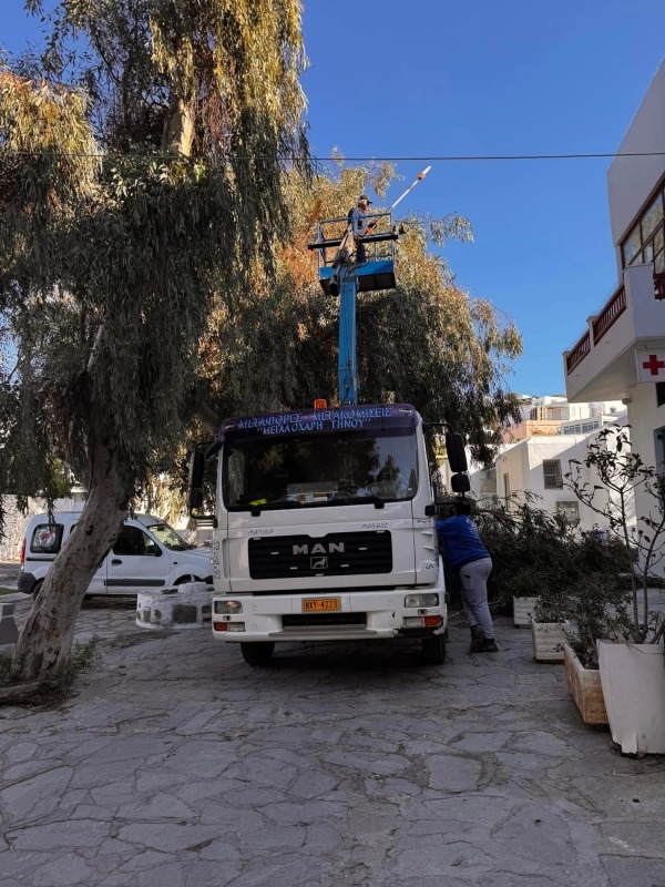 Τα δέντρα στην Λάκκα κλαδεύτηκαν με την εποπτεία του Δήμου Μυκόνου