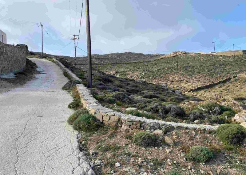 Νέα σφυριά προγραμματίζονται να «χτυπήσουν» στις 19 Φεβρουαρίου του 2025 για την οικογένεια Πατρώνη