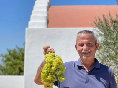 Δημήτρης Ρουσουνέλος – συγγραφέας, ερασιτέχνης αμπελουργός και οινοποιός